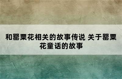 和罂粟花相关的故事传说 关于罂粟花童话的故事